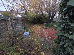 Photo 22- click for photo gallery